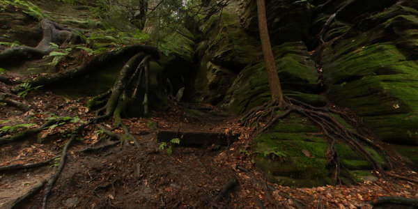 Gnarly Roots