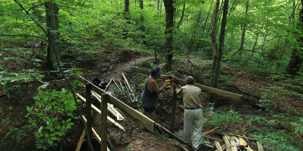 Trail Workers